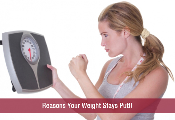 Reasons Your Weight Stays Put!!