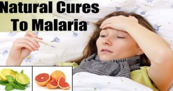 9 Ancient Home Remedies To Treat Malaria