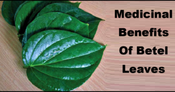 Top 7 Medicinal Benefits Of Betel Leaves Or Paan K Patte