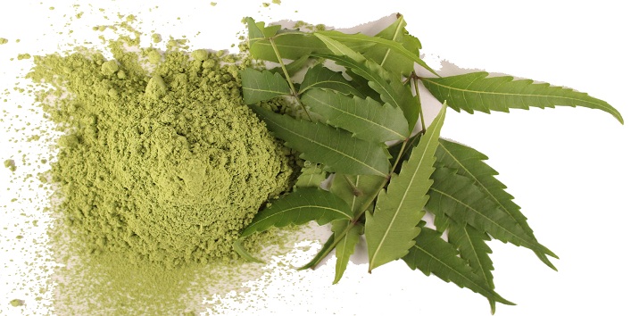 Tulsi for Beauty Benefits2