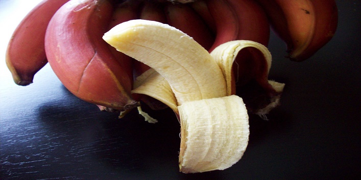 Bananas8